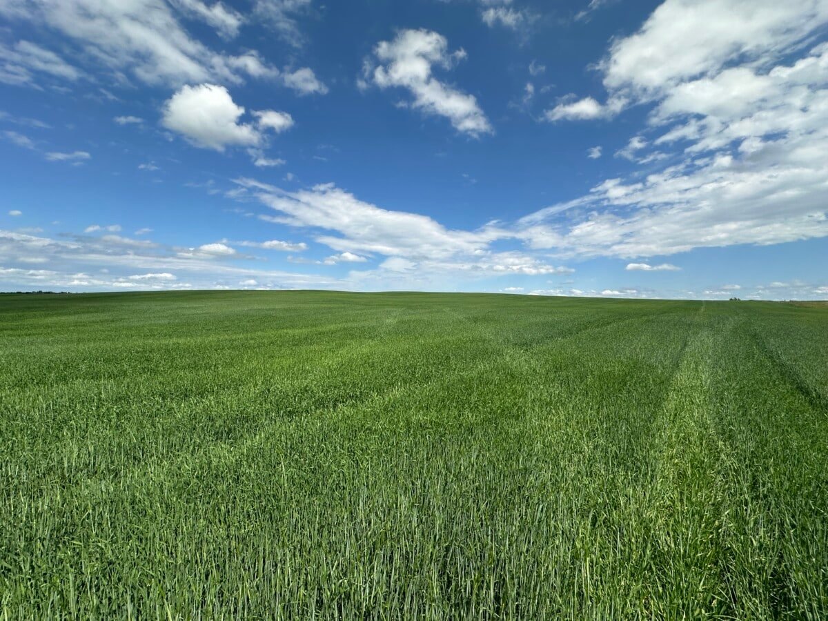 279 Acres For Sale Calgary Alberta by Steve LeBlanc Farm Realtor Alberta and Saskatchewan www.FarmForSale.ca 6