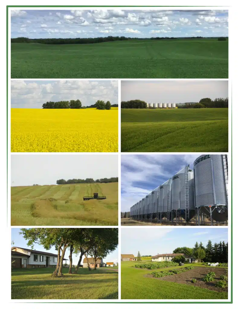 3 1085 acres farmland for sale Two Hills alberta Steve LeBlanc Farm Realtor www.FarmForSale.ca land for sale
