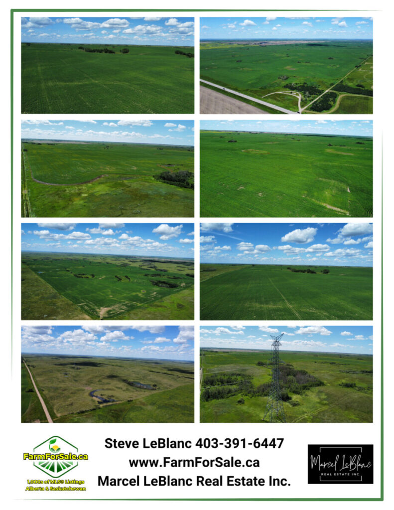 6,133 Acres of farmland for sale by Tender Oyen Alberta by Steve LeBlanc Farm Realtor Alberta and Saskatchewan www.FarmForSale.ca 4